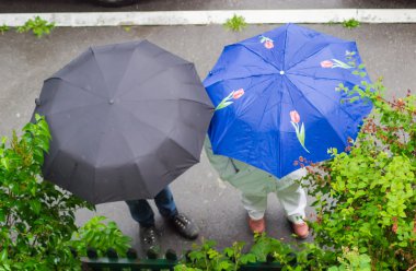 Erkek ve kadın şemsiyelerinin üst görünümü