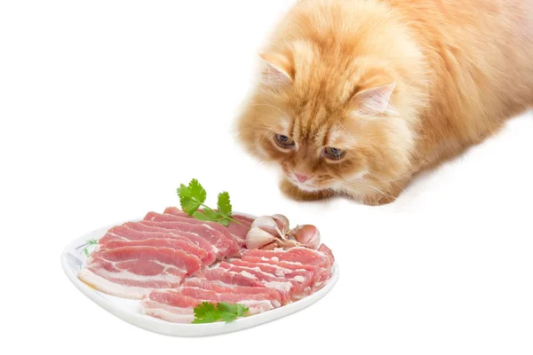 Красная кошка и блюдо с сырым беконом из свинины — стоковое фото