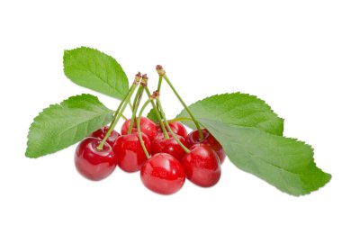 Birkaç tatlı kiraz ve şube yaprakları ile