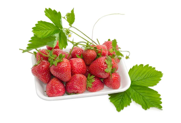 Frutos de fresa de jardín con hojas, tallos y flores en bandeja —  Fotos de Stock