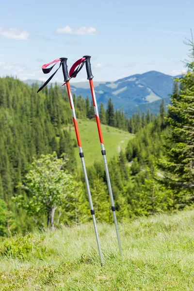 Coppia di bastoncini da trekking su uno sfondo di montagne boscose — Foto Stock