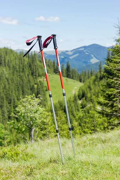 双的登山杆在深山密林的背景上 — 图库照片