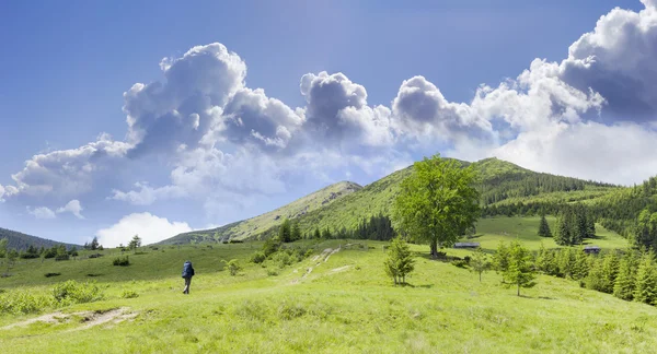 Mountain landscape with hiker and mountain pasture in the foregr — Stock Photo, Image