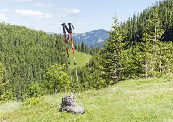 Wanderstöcke und Trekkingschuhe auf dem Hintergrund eines bewaldeten Gebirges — Stockfoto