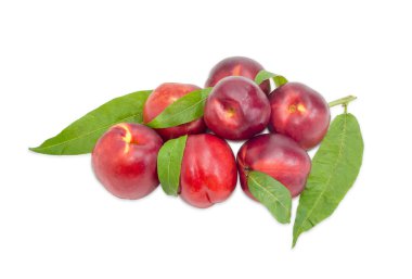 Hafif bir arka plan üzerinde birkaç nektarin