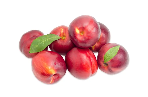 Several nectarines on a light background — Stock Photo, Image