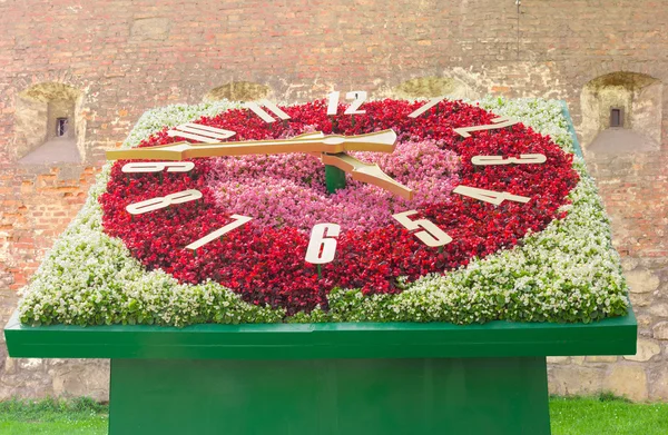 Reloj floral en el fondo del antiguo muro de la fortaleza — Foto de Stock