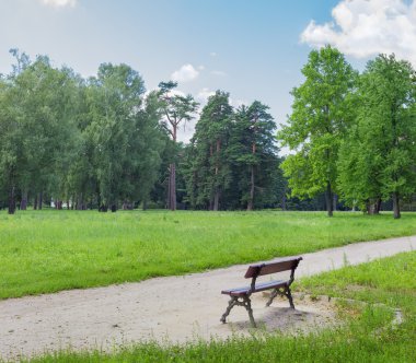 Ön planda bir Bank ile parkta Glade