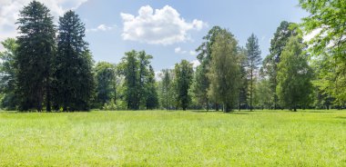 Glade bir parkta Panoraması