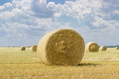 Arka plan gökyüzü hasat alana yuvarlak saman balya