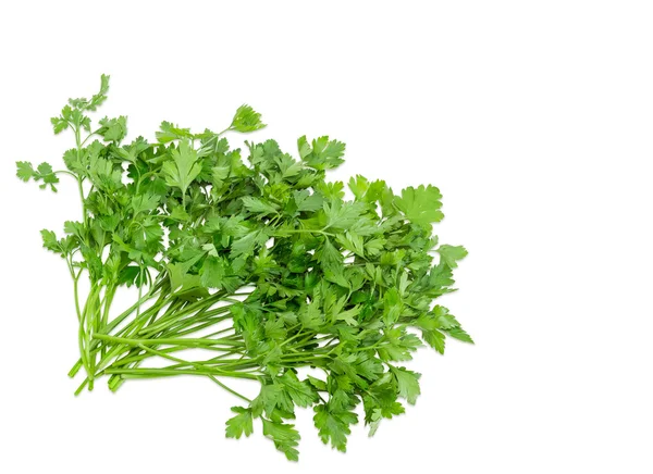 Bunch of parsley on a light background — Stock Photo, Image