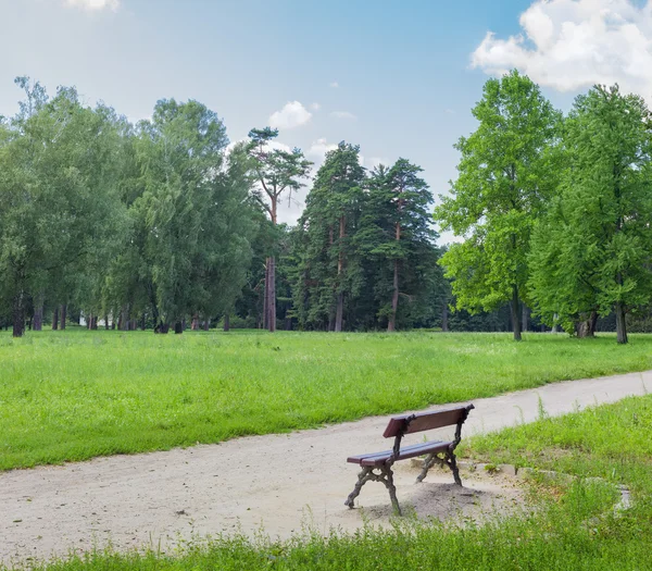 Glade i parken med en bänk i förgrunden — Stockfoto