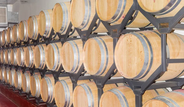 Wine in new oak barrels on a shelving — Stock Photo, Image