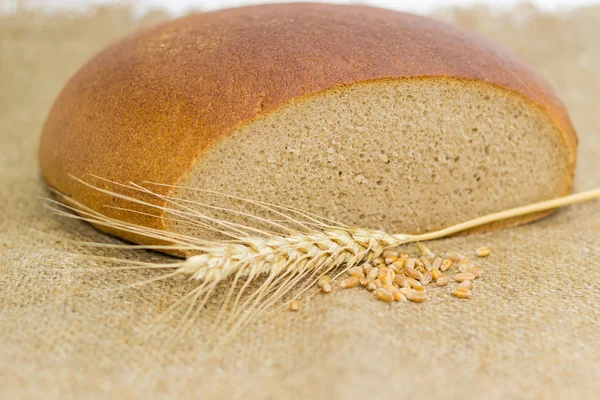 Wheat rye bread, wheat spike and handful of wheat grains