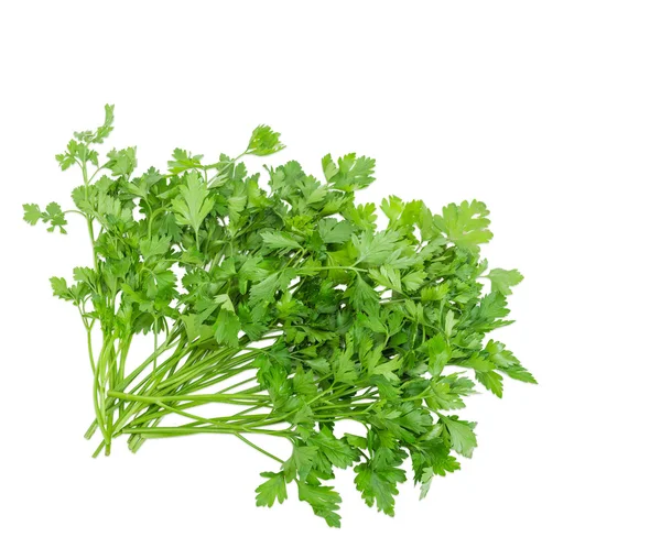 Bunch of parsley on a light background — Stock Photo, Image