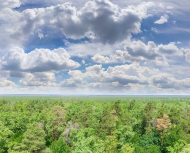Orman üzerinde cumulus bulutları ile gökyüzü