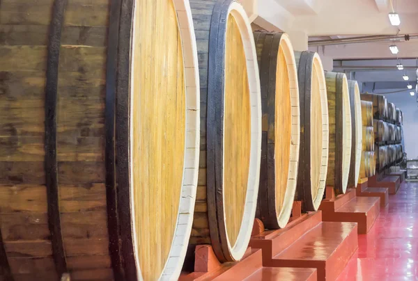 Row of a oak wine barrels — Stock Photo, Image