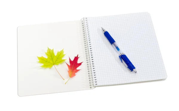 Livros de exercícios abertos, caneta azul e folhas amarelas e vermelhas — Fotografia de Stock