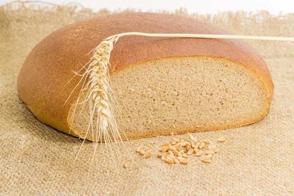 圆小麦黑麦面包，小麦穗和小麦粒 — 图库照片