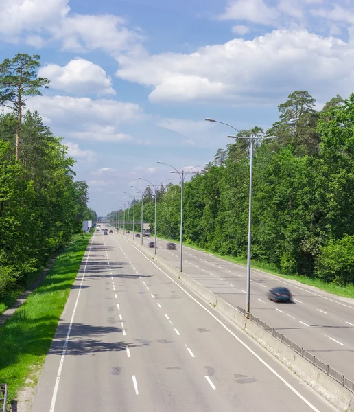 Autopista con bosque a ambos lados en verano —  Fotos de Stock