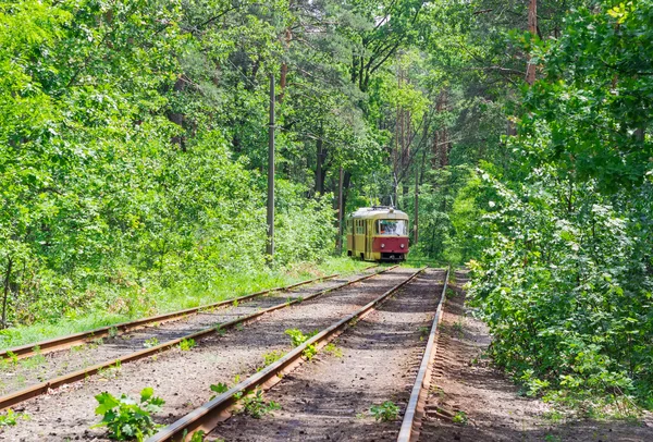 Velho bonde entre a floresta — Fotografia de Stock