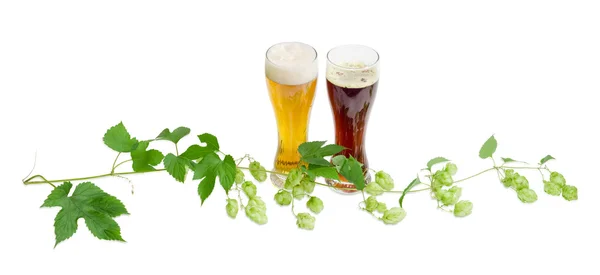 Deux verres de bière et de houblon branches sur fond clair — Photo