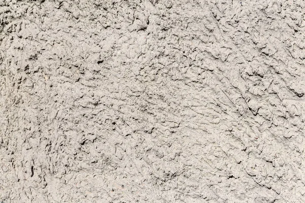 Фрагмент Стіни Декоративною Рельєфною Пористою Штукатуркою Вигляді Шуби Текстура Фон — стокове фото