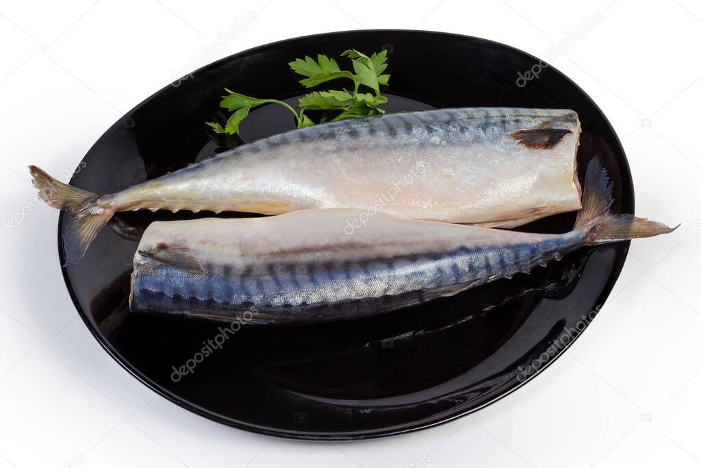 Two salted gutted headless atlantic mackerel and twig of parsley on the black dish on a white background
