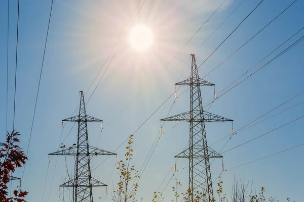 Silhuetas Torres Transmissão Aço Treliçada Linhas Elétricas Aéreas Sobre Galhos — Fotografia de Stock