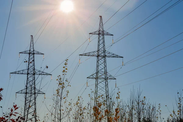 太陽光をバックに澄んだ空に対して木の枝に格子鋼送電塔を装備した架空送電線 — ストック写真