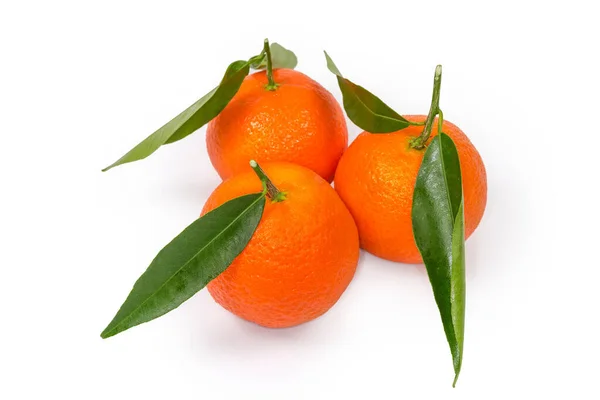 Reife Mandarinenorangen Auf Den Kleinen Zweigen Mit Blättern Auf Weißem — Stockfoto