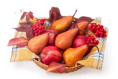 Pamuklu peçetede birkaç sarı armut ve kırmızı elma, beyaz arka planda küçük bir sepetteki sarmaşık demetleri ve sarmaşık demetleri.