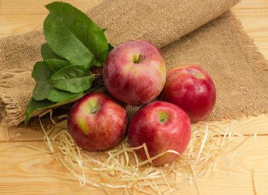 Olgun kırmızı elmalar ve açık renkli ahşap bir masada yaprakları olan küçük bir elma dalı.