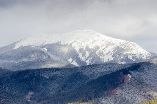 Schneebedeckte Baumlose Berge Teilweise Wolken Winter Mit Tannenwald Bewachsene Hänge — Stockfoto