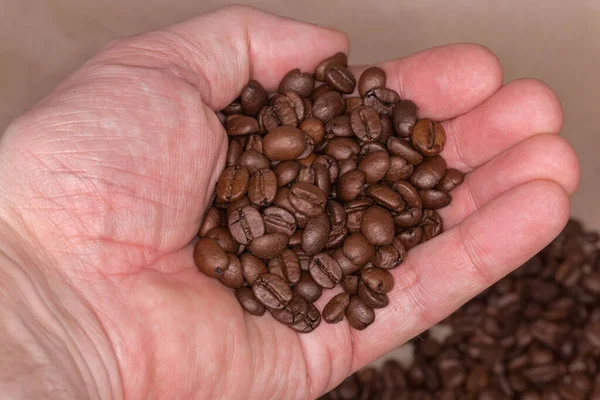 男の手で焙煎したコーヒー豆の一握りぼやけた背景にクローズアップ — ストック写真