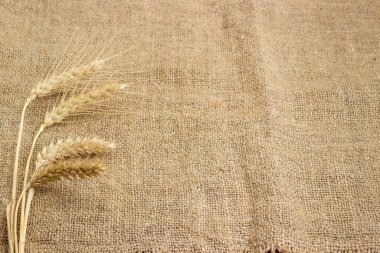 Buğday kulakları seçici odak, boş merkez kısım, arka planda doğal kaba boyanmamış dönen kenevir liflerinden yapılmış bir çuval üzerinde bulundu.