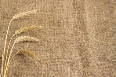 Kulakları boyanmamış doğal kenevir çuvalı üzerine yerleştirilmiş buğday sapı demeti, boş merkez kısmı olan üst görünüm, arka plan