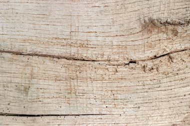 Çatlaklarla kaplı eski ahşap bir tahtanın yüzeyi, ahşap haşarat izleri ve zamanla, dokularla, arka planla kararmış.