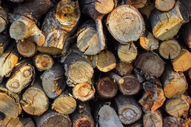 Eski harap ahşap gövdelerden yapılmış odun yığını, seçici odak noktasında yakın plan.