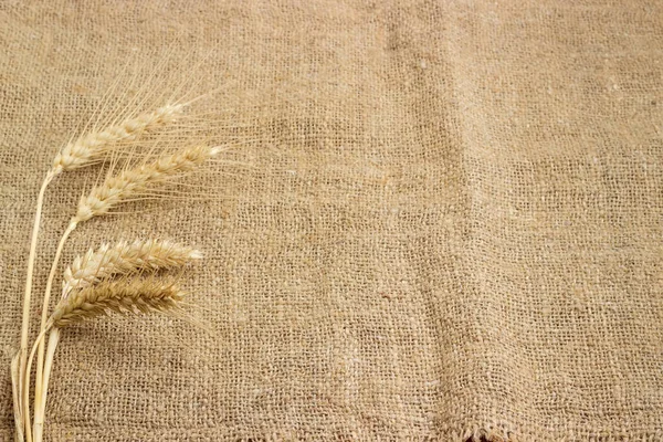 Wheat Ears Located Left Burlap Made Natural Coarse Unpainted Spinning — Stock Photo, Image