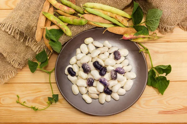 Raw Large White Speckled Purple Kidney Beans Brown Dish Pods — Stock Photo, Image