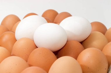 Yığının üzerinde beyaz ve kahverengi tavuk yumurtaları, seçici odak noktasında yakın plan.