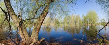 Nehrin alçak kıyılarını sel basmıştı. Söğüt ağacı ön plandaydı. Sel sırasında, panoramik manzara...