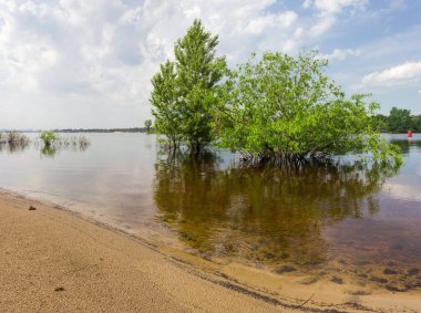 Söğütler ve kavak ağaçları, su altında duran kumlu bir nehir kıyısında, ilkbahar seli sırasında gökyüzüne karşı duruyor.