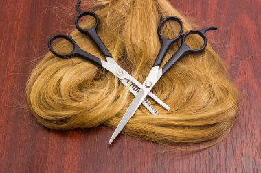 Normal kuaförler makas ve seyreltici makaslar, açık kahverengi kadın saçlarının üzerinde, tahta bir masanın üzerinde yatar.