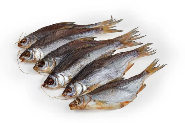 Bunch of several salted and air-dried roach fish on string on a white background