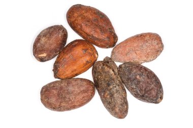 Beyaz arka planda birkaç kurutulmuş kakao çekirdeği, yakın plan üst görüntü.