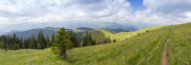 Uzak dağ sıralarına karşı patikaları olan dağlık çayırlar kısmen ormanlarla kaplı ve Karpat Dağları 'nda bulutlu gökyüzü, panoramik manzara