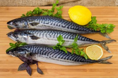 Tahta bambu kesme tahtasının üzerinde yeşil ve limonlu çözülmüş çiğ Atlantik uskumrusu.