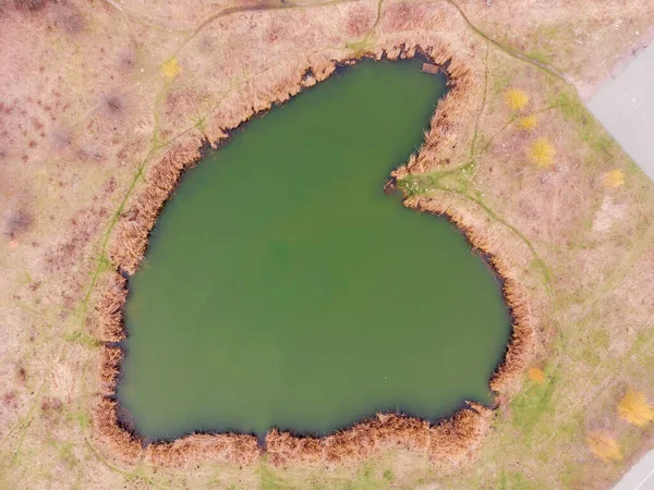 Małe Malownicze Jezioro Kształcie Serca Brzegami Porośniętymi Trzciną Pochmurny Wiosenny — Zdjęcie stockowe
